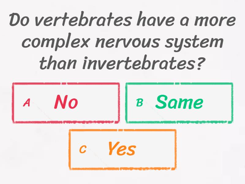 1 4 different kind of skeleton quiz