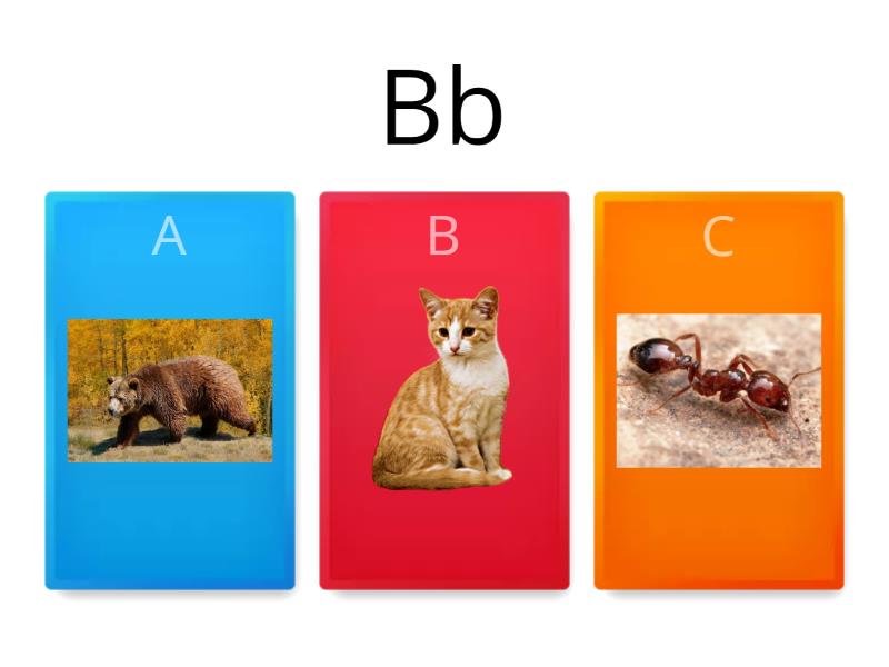 A-b - Quiz