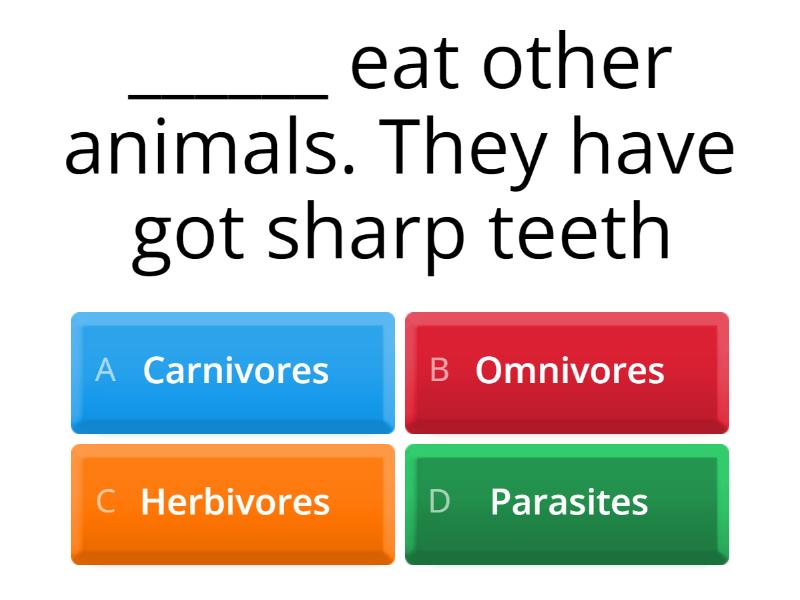 What Do Animals Do? - Quiz