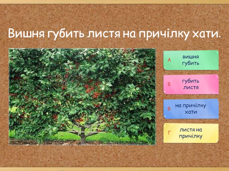 Граматична основа речення - Quiz