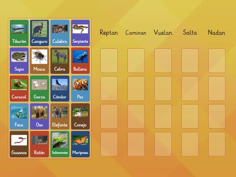 Clasificar desplazamiento de animales - Ordenar por grupo