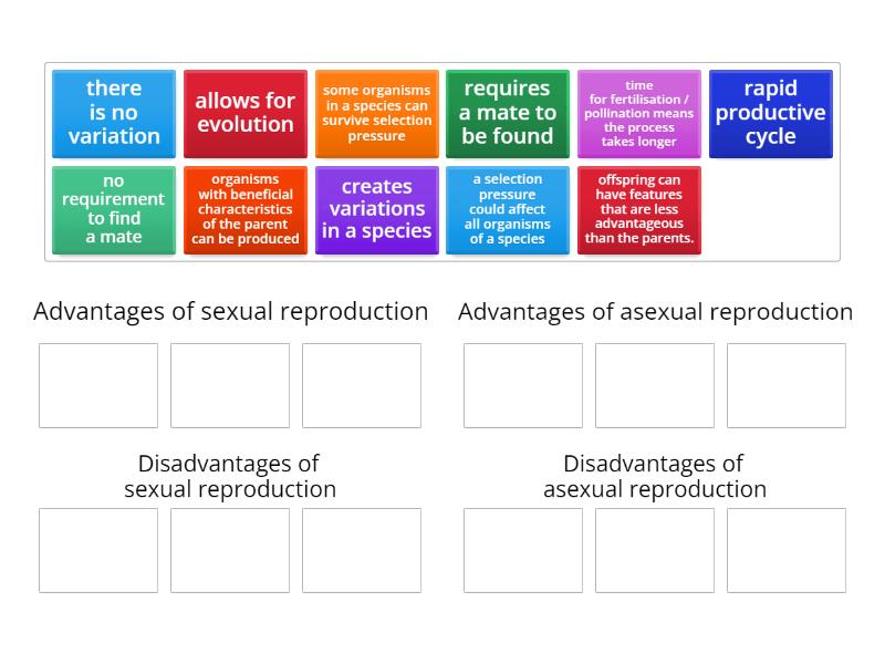 Advantages And Disadvantages Of Sexual And Asexual Reproduction Group Sort