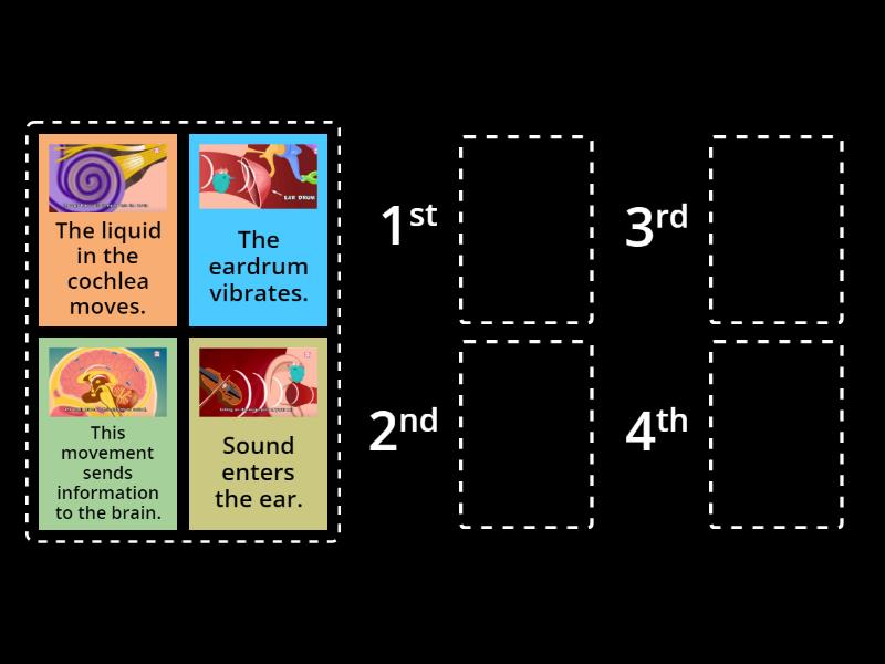 The hearing process - Rank order