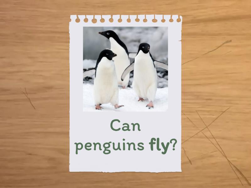 Can penguins fly? - Flash cards