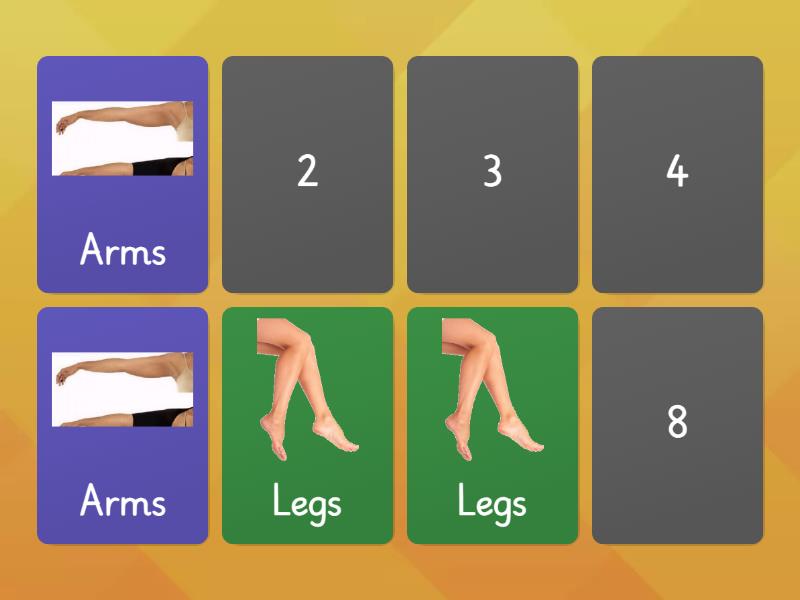 HUMAN BODY GAME - Matching pairs