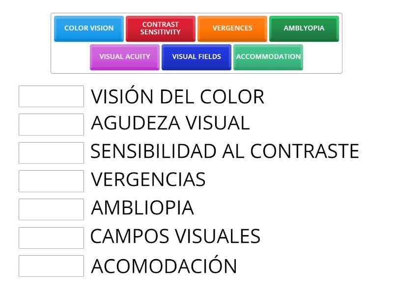 Vocabulario Match Up