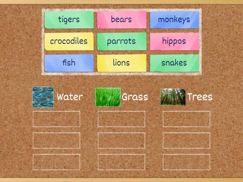 Super Minds 2. Unit 2. Song - Group sort