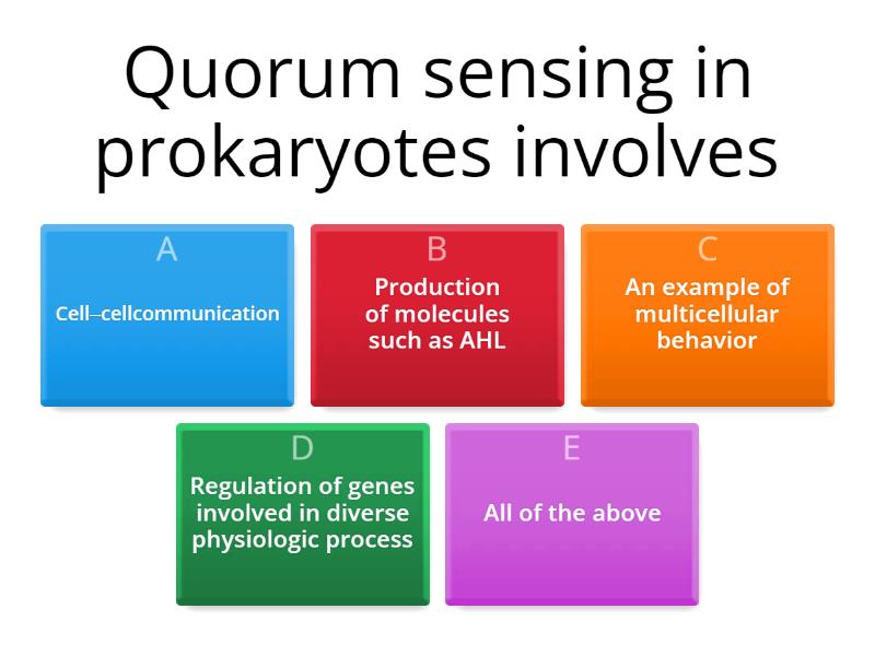 Basic Bacteriology Quiz