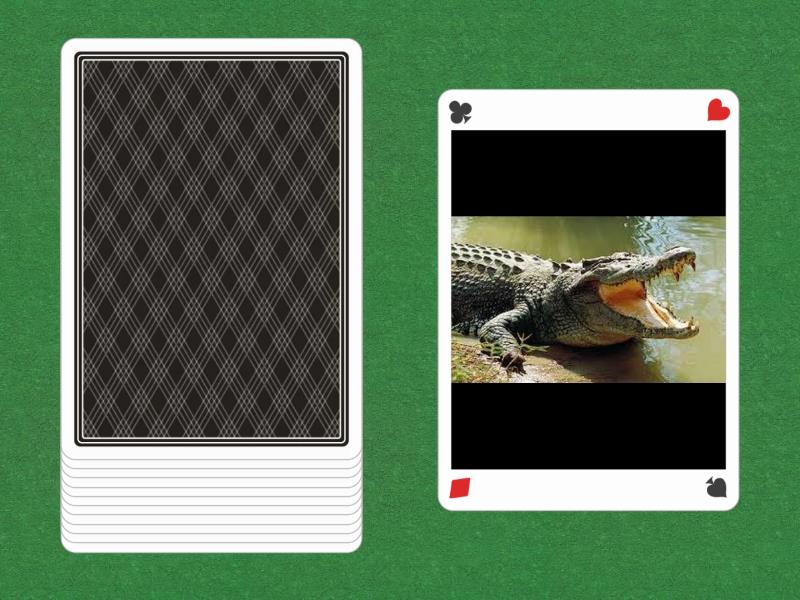 wild animals - Speaking cards