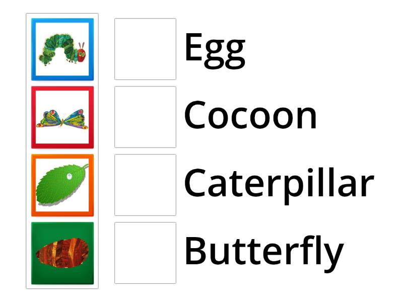 The Very Hungry Caterpillar Matching Game Match Up