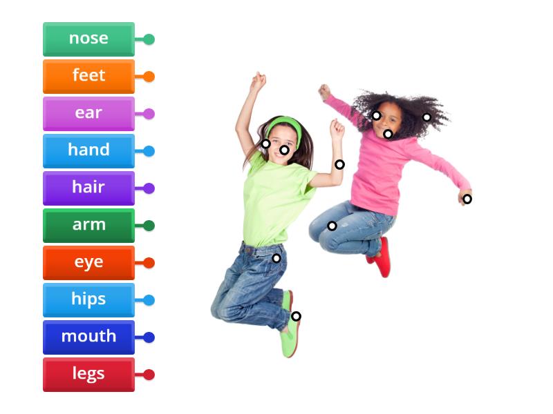 CLIL Vocabulary Science: Parts of the body - Labelled diagram