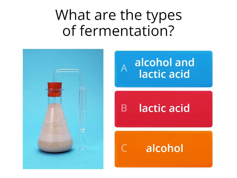 Fermentation Quiz