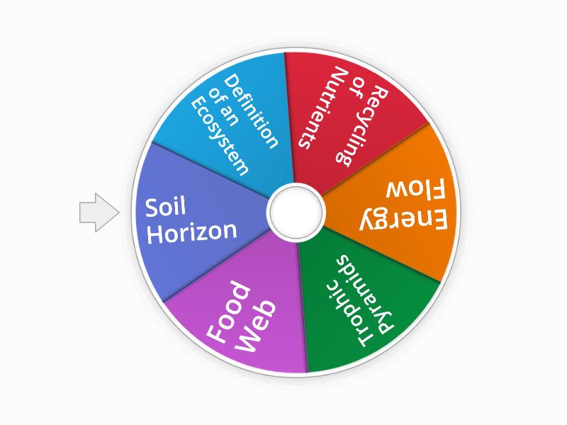 Ecosystems Plenary - Random wheel