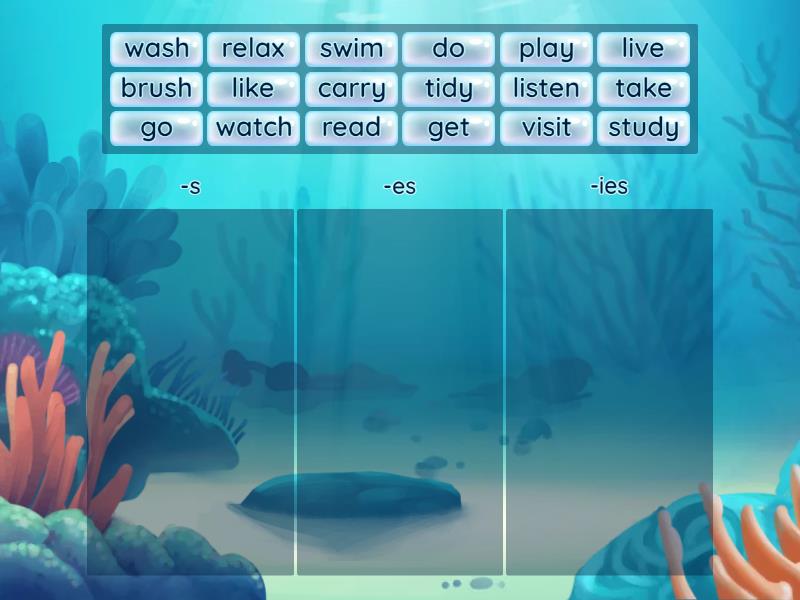 Third Person Singular Categorize