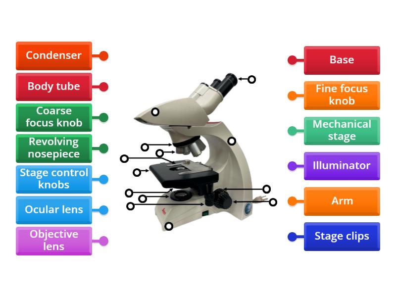 Label the Microscope - Labelled diagram