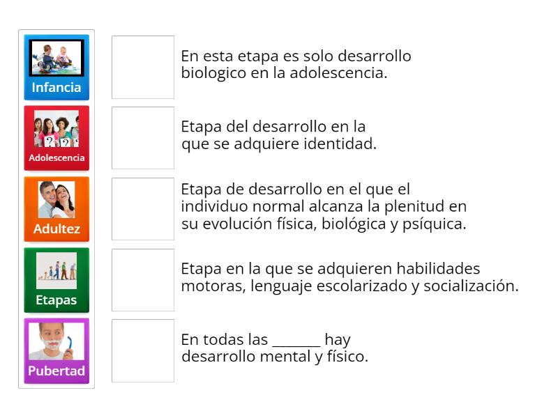 Etapas de desarrollo - Match up