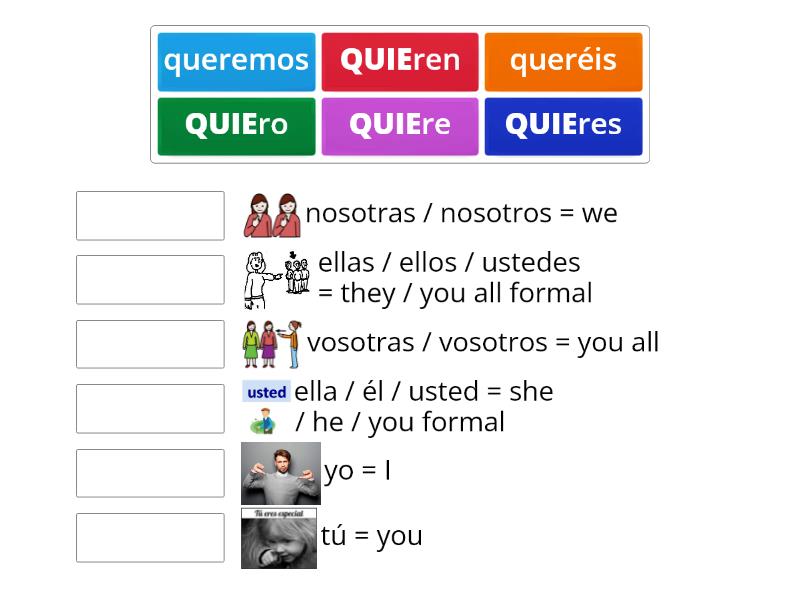 Verbo querer conjugaciones - Match up