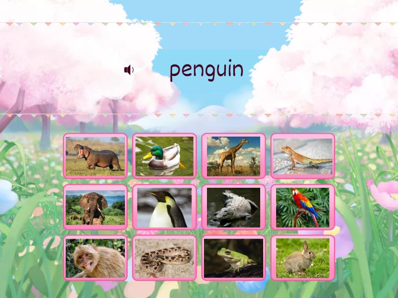Animals (Match) - Cada oveja con su pareja