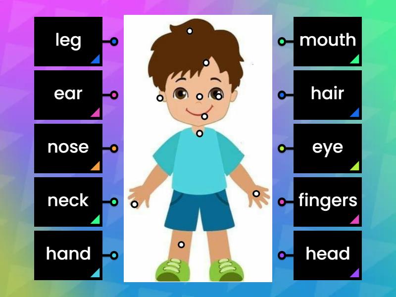 name a part of the body beginning with n