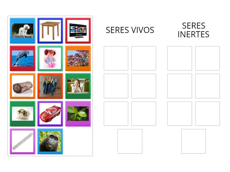 SERES VIVOS E INERTES - Ordenar por grupo