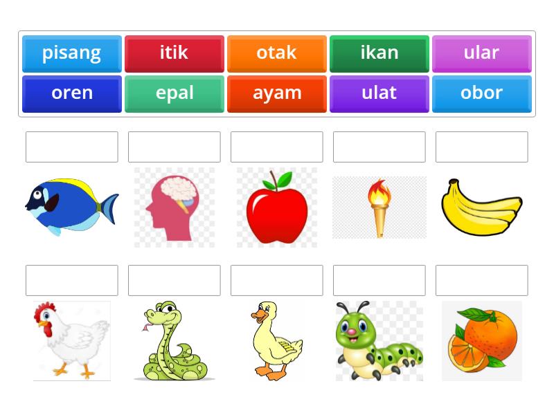 Padankan perkataan dengan gambar yang tepat. - Match up