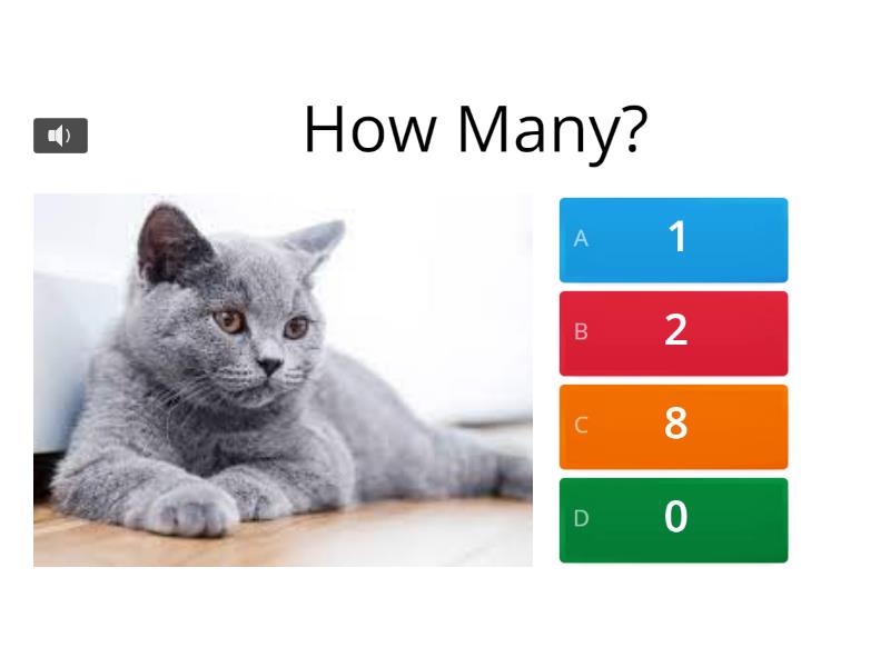 How Many? - Quiz