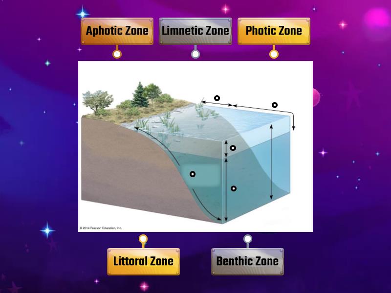 Lake Zonation - Labelled diagram