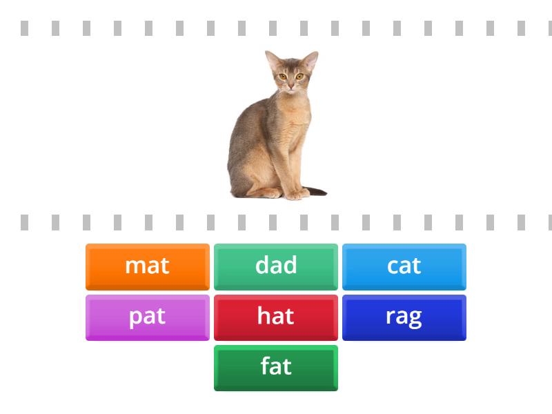 - short vowel a words - Find the match