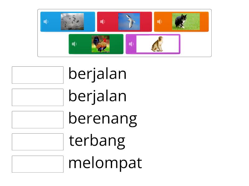 Permainan memadankan bunyi berdasarkan pergerakan haiwan - Match up