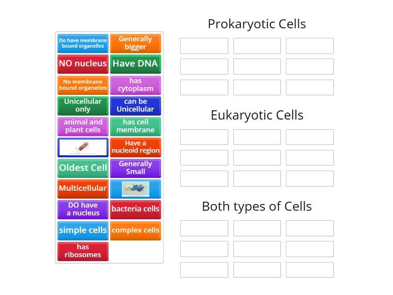 Prokaryotic vs Eukaryotic Cells - Group sort