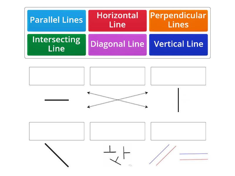 Types Of Straight Lines - Match Up