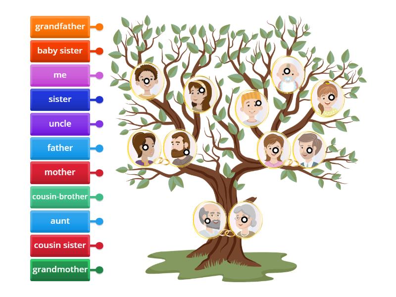 OS family tree - Labelled diagram