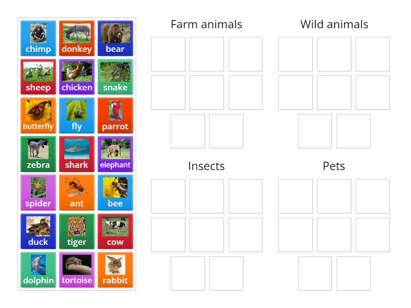 Wider World 2. Unit 3. Animals sort - Group sort