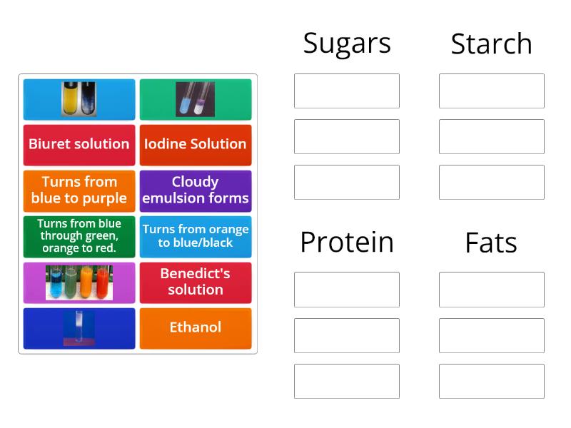 group-of-the-food-tests-ks3-group-sort