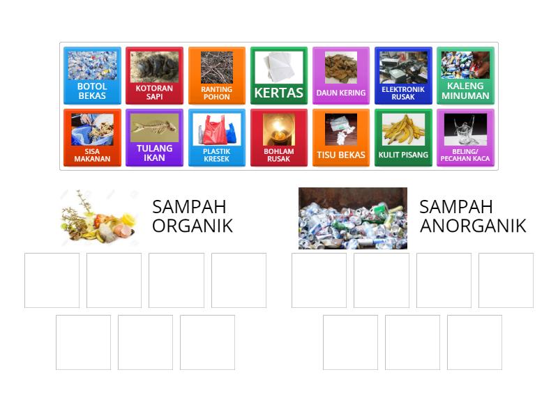 MENEMUKAN JENIS SAMPAH ORGANIK DAN ANORGANIK - Group Sort