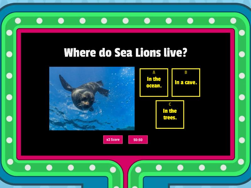 Singapore Zoo - Sea Lion - Gameshow quiz