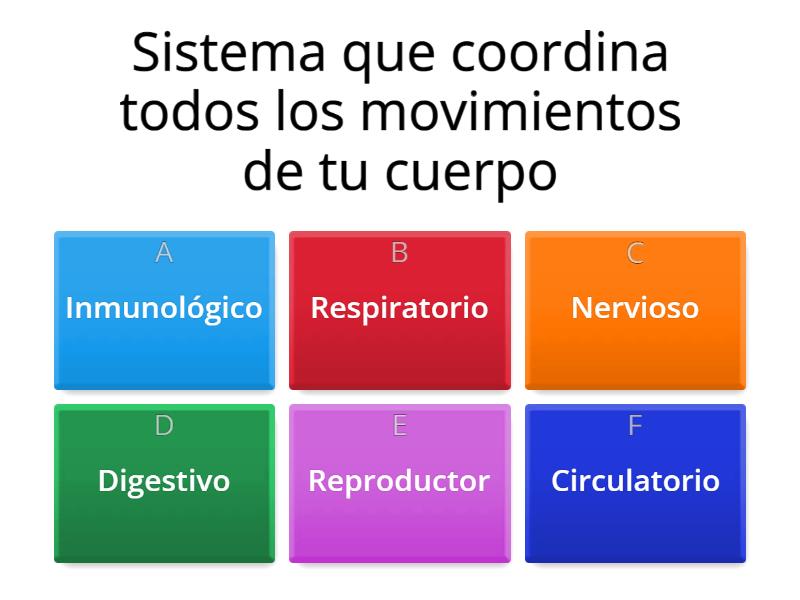 Sistema Nervioso - Quiz