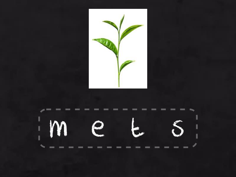 reorder letters - Anagram