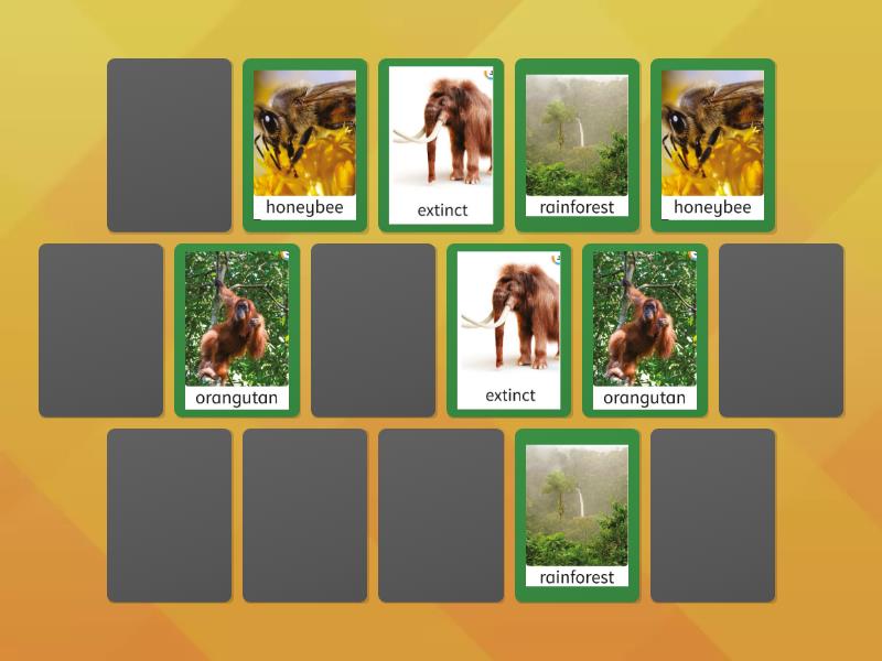 GR4 - Key Words 1 Online Game - Matching pairs