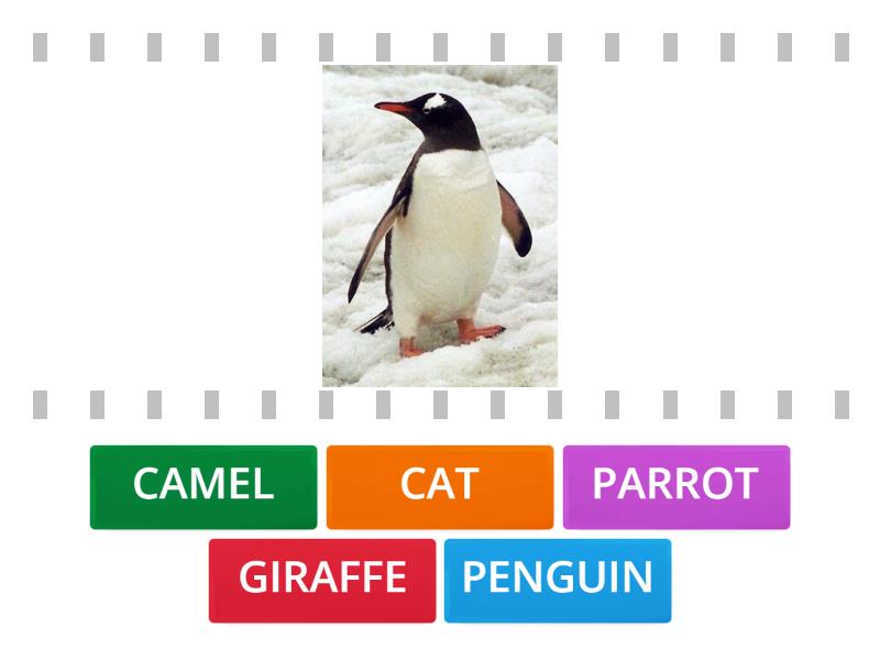 MEMORY ANIMALS - Cada oveja con su pareja