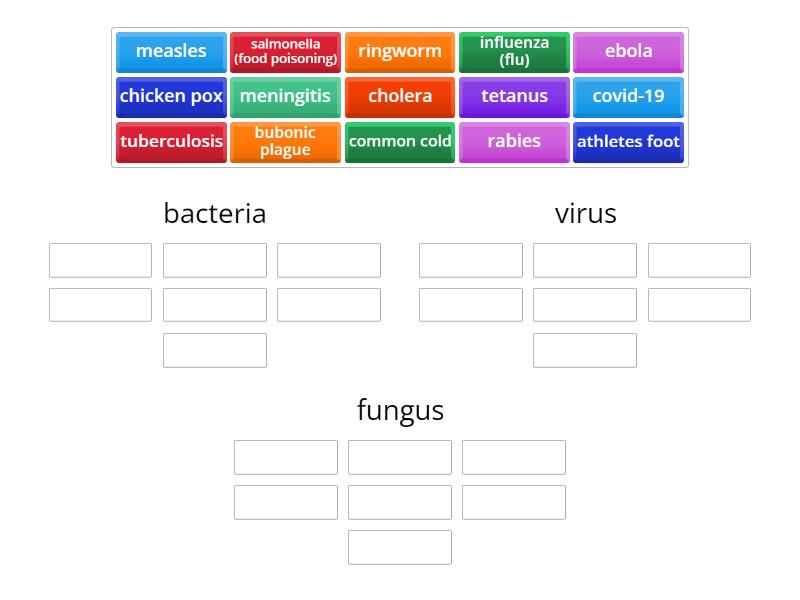Types of Diseases - Group sort