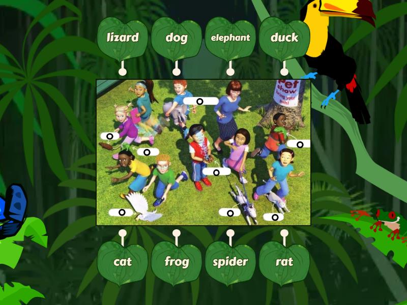 Super Minds 1 Unit 3 Pet show - Labelled diagram