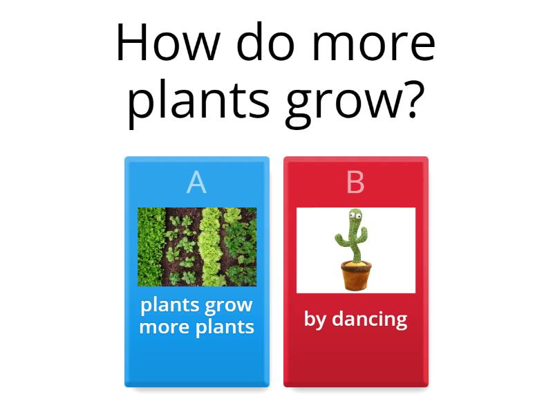 Life Cycle of a Plant Comprehension Questions Quiz