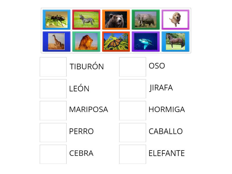 IMAGEN - PALABRA ANIMALES - Match up
