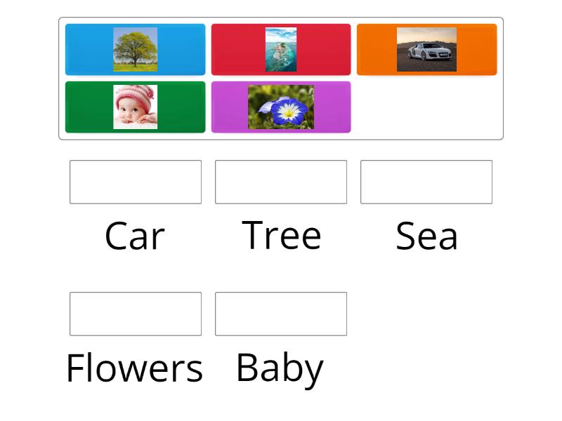 Choose Answer - Match up