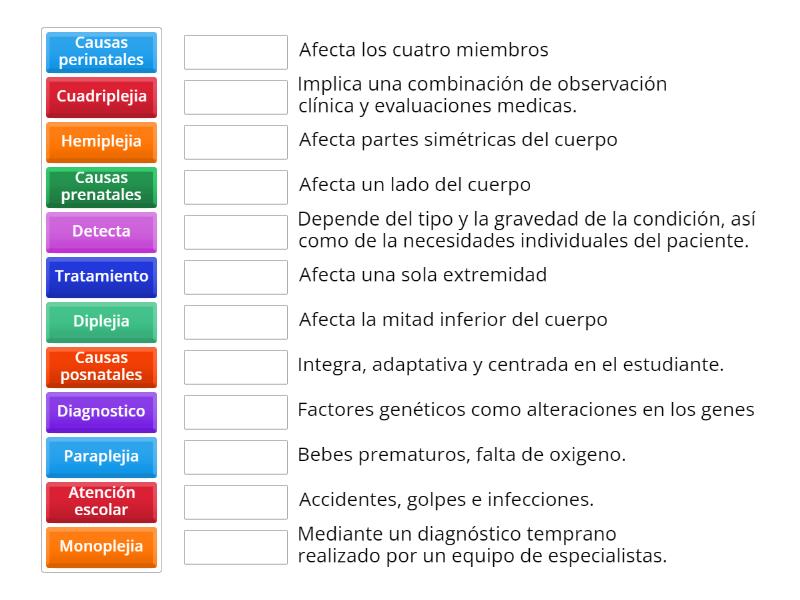 Relaciona las palabras claves con la definicion correcta - Une las parejas