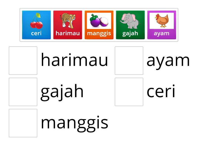 bahasa malaysia nursery - Match up