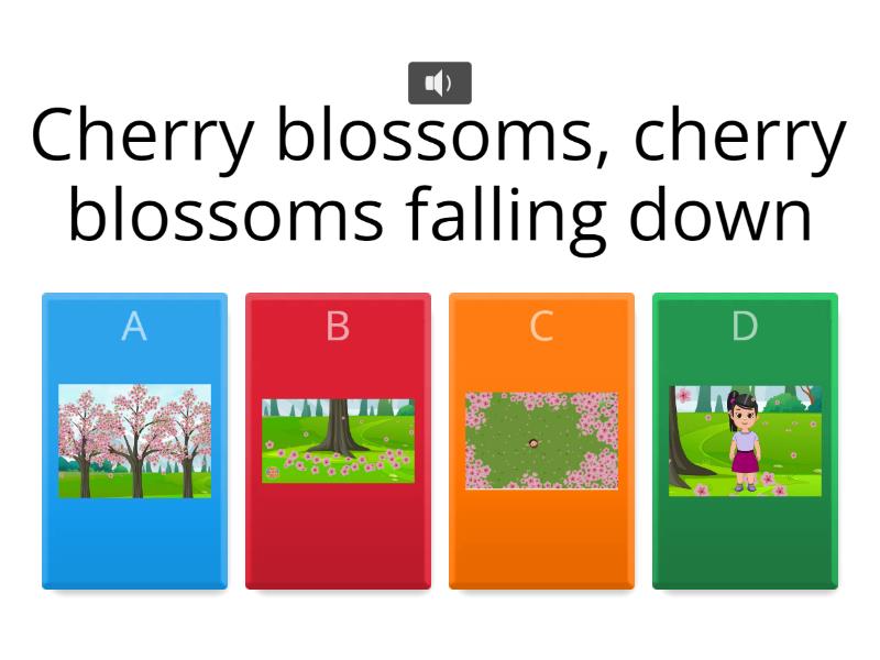 Cherry Blossoms Quiz