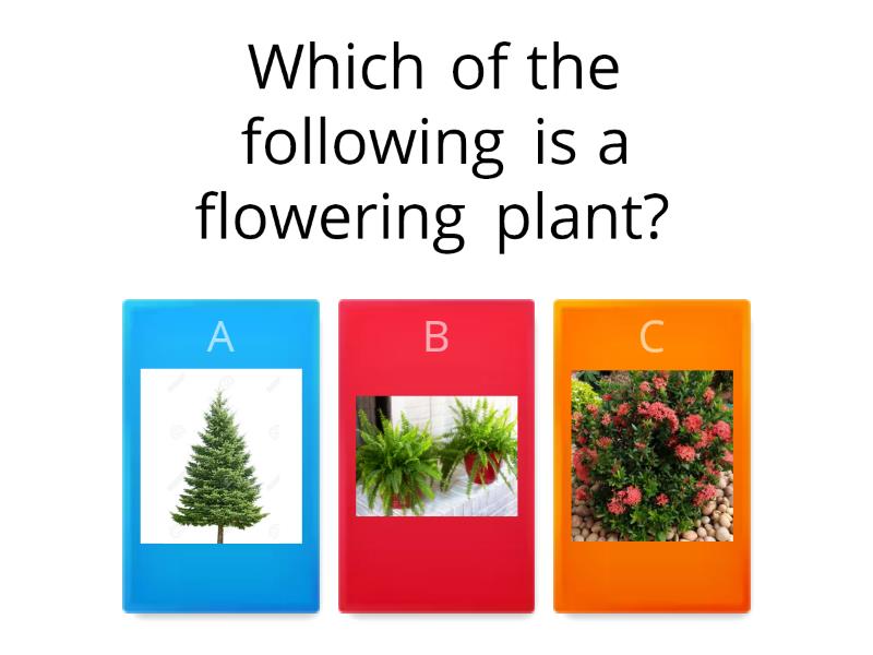 classification-of-plants-cuestionario