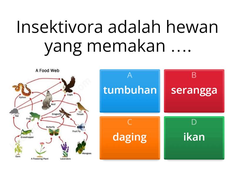 EKOSISTEM Kelas X - Quiz